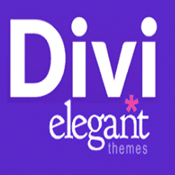 divi wordpress theme